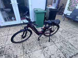 Raleigh Motus 7 Speed Step Through Bosch 2024