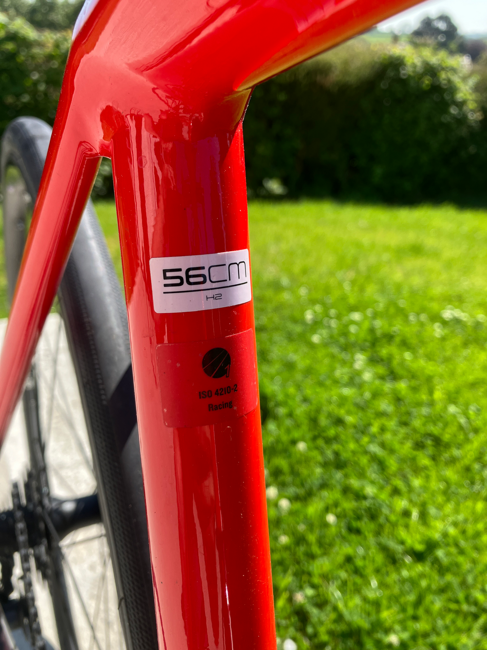Trek emonda ALR 6 2021