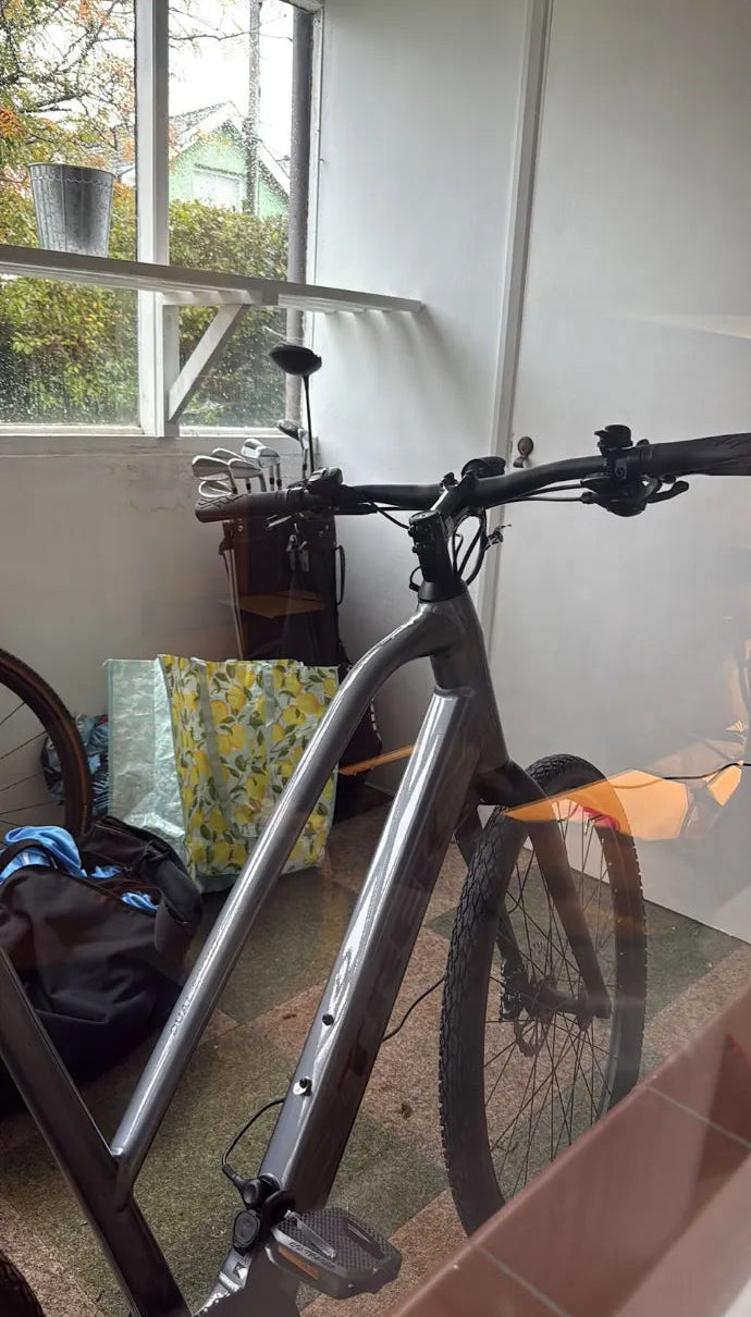 Trek Dual Sport+ 2 Stagger 2023