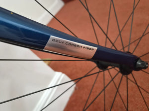 Trek Domane AL 2 2023