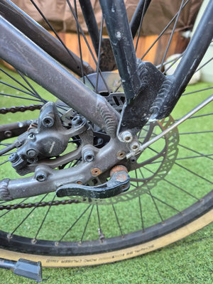 Raleigh Motus Ltd Lowstep Electric 2025