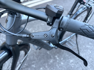 Trek Dual Sport+ 2 2023