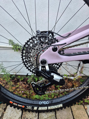 Forbidden Druid 2 29er 2025