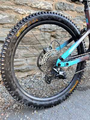 Marin Alpine Trail 1 2025
