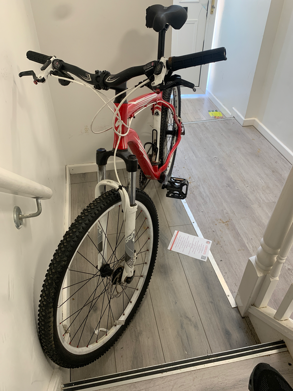 Specialized Men's Rockhopper Expert 2019