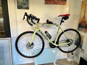 Canyon Endurace CF SL 8 Di2 2021
