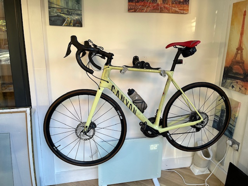 Canyon Endurace CF SL 8 Di2 2021