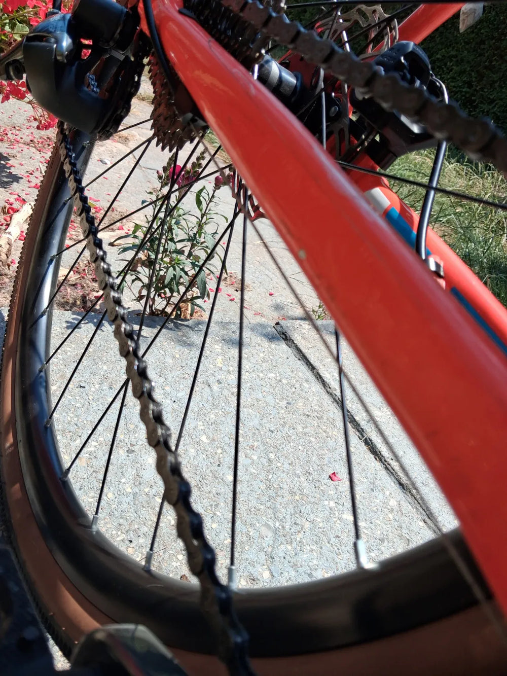 Ribble CGR AL - Sport, Shimano Tiagra 2025
