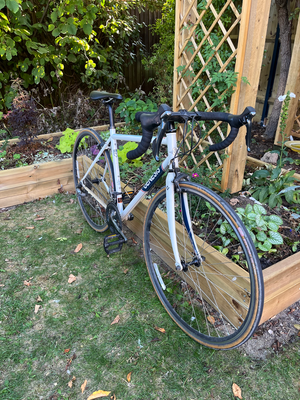 Genesis Equilibrium 10