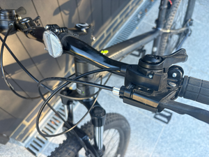Cannondale Trail 2020