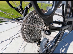 Raleigh Motus 2016