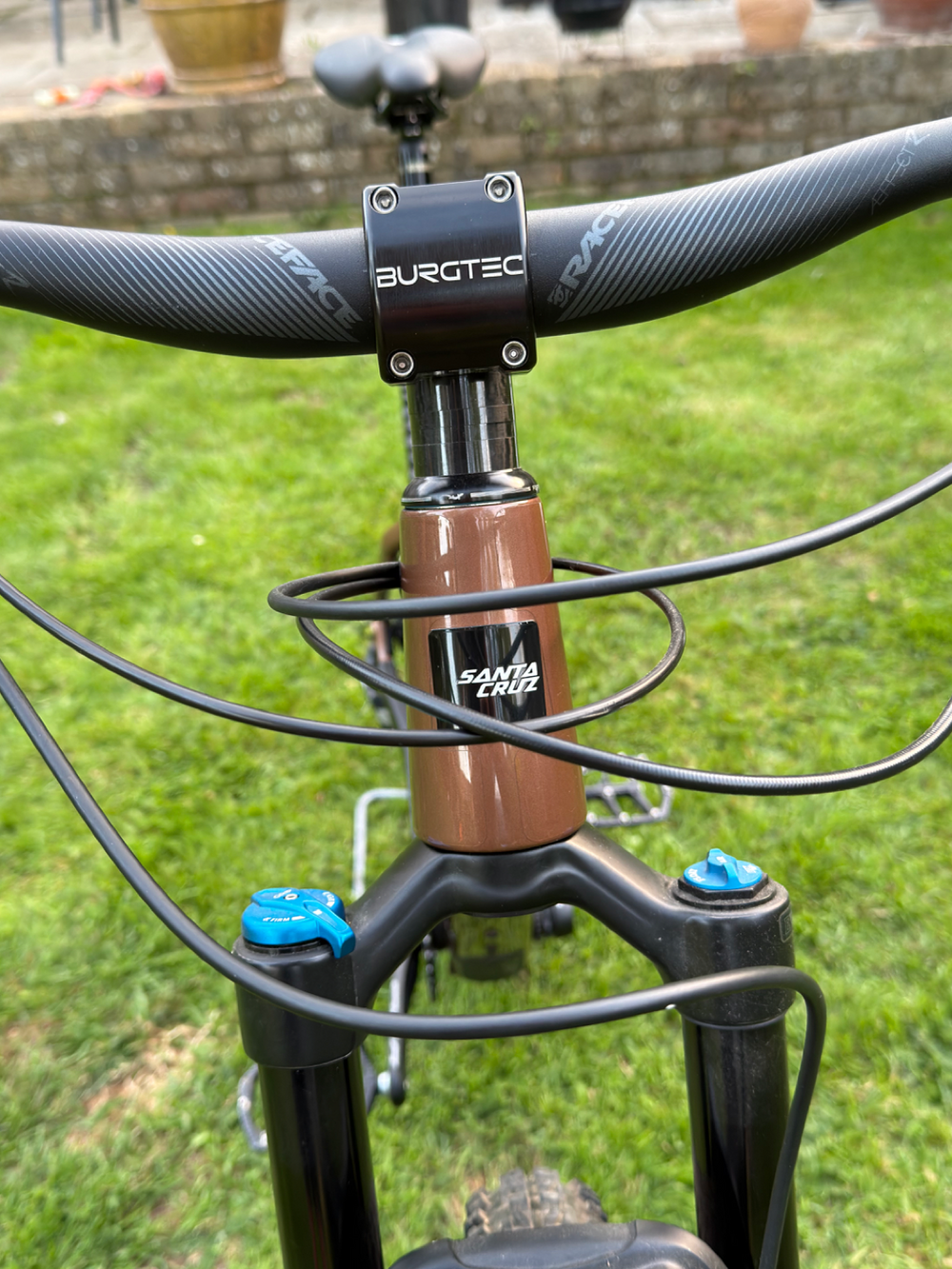 Santa Cruz Chameleon S / Carbon C / 29 2020