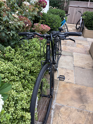 Trek FX1