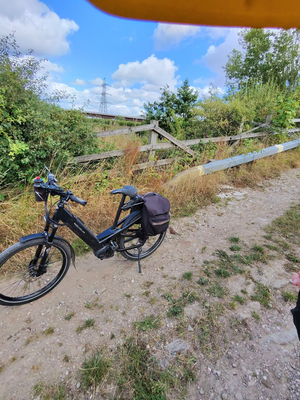 Riese and Muller Homage GT Vario 2019