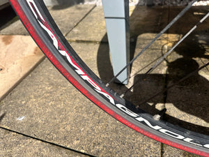Beacon Fell BF_100 Team GBR Triathlon Bike 2017