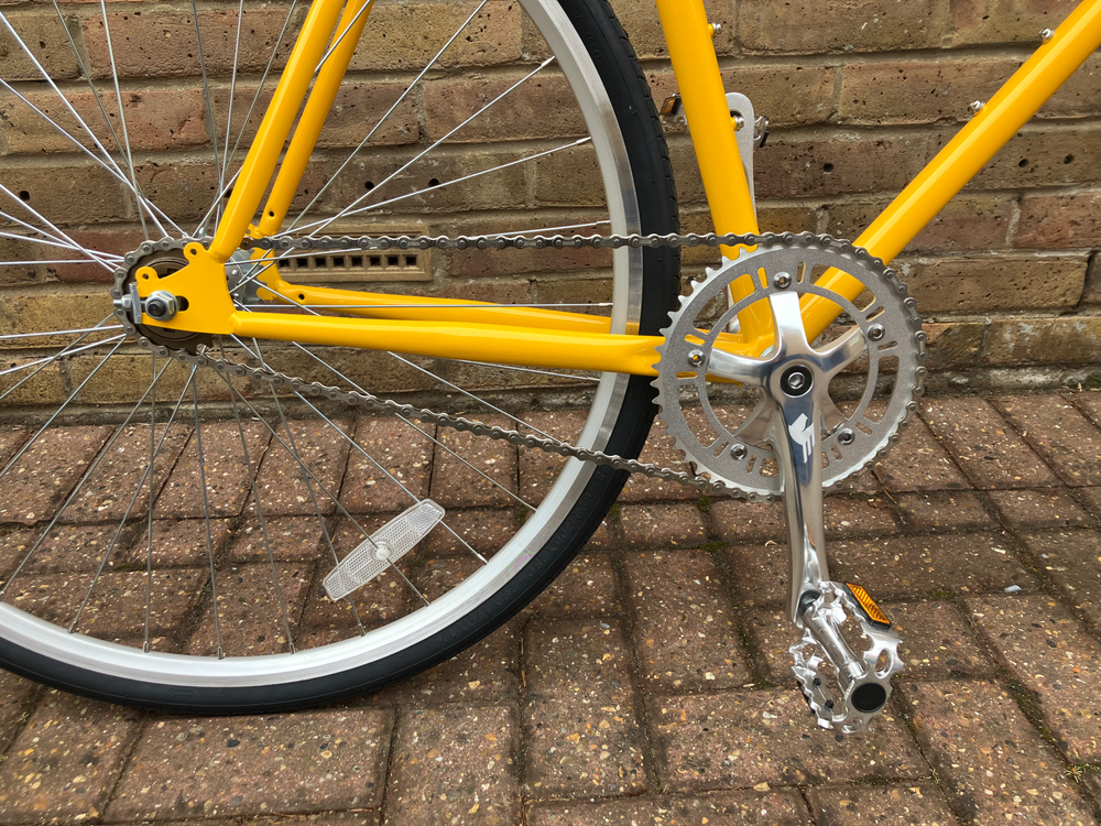 Steed Thoroughbred  2025