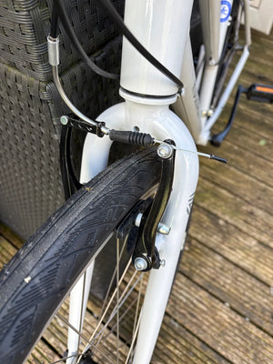 Ridgeback Motion Open Frame 2026