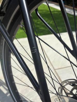 Raleigh Motus Crossbar Bosch 2022