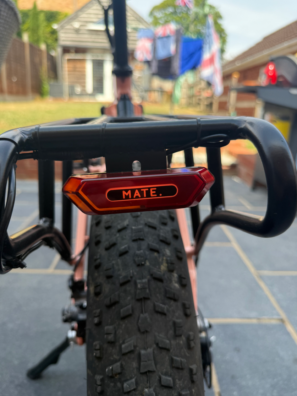 Mate Mate x 250w 2019