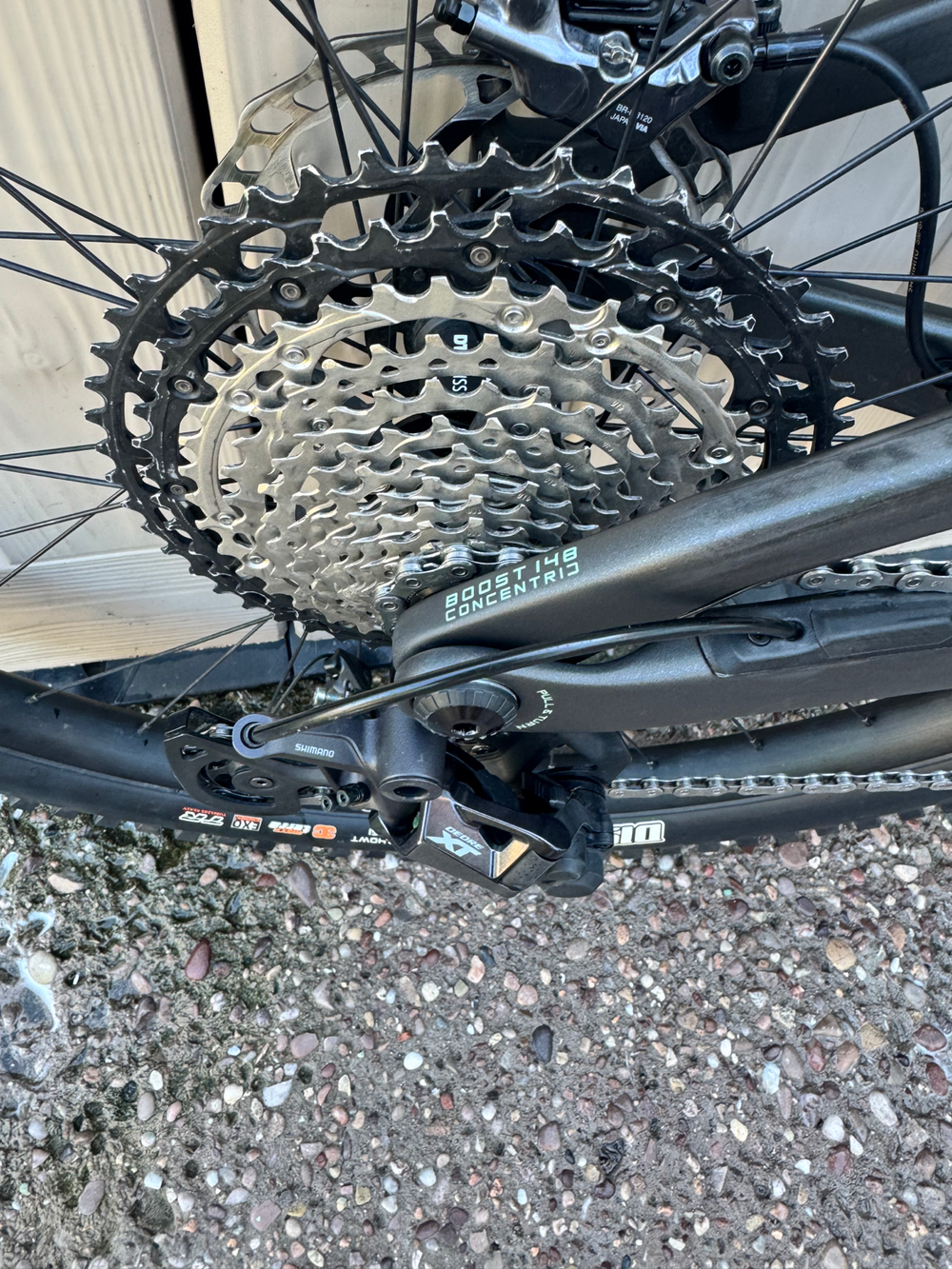 Orbea OCCAM LT M10 2024