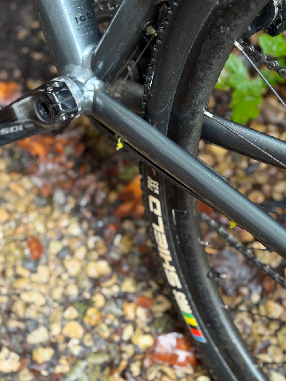 Trek Domane AL 3 Gen 3 2023