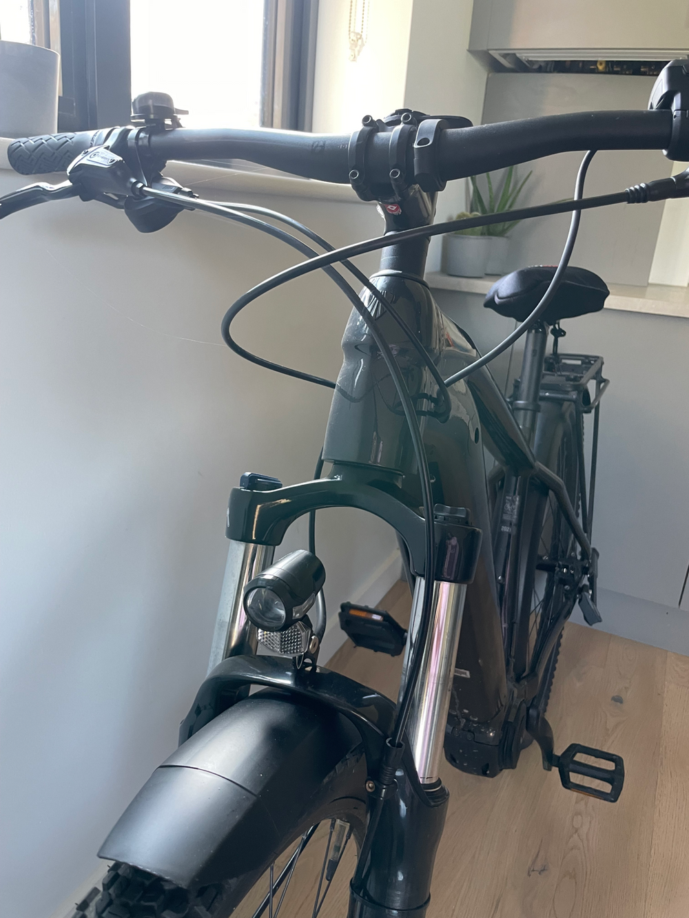 Trek Powerfly 4 2021
