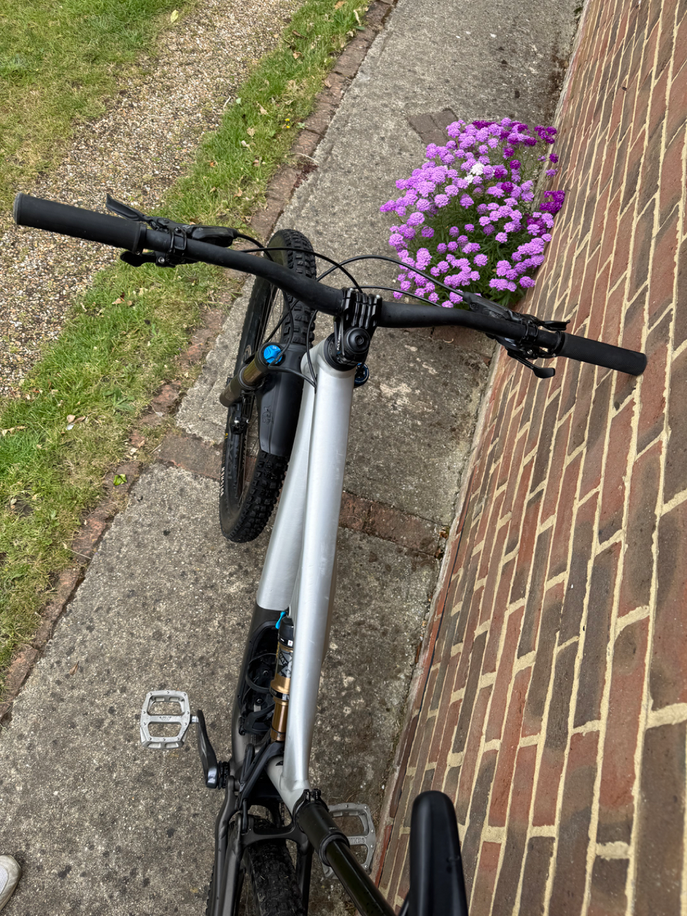 Specialized Stumpjumper EVO Elite Alloy 2023