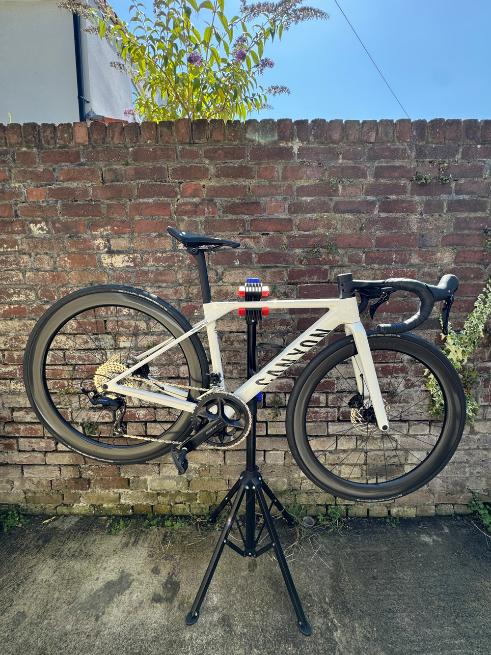 Canyon Ultimate CF 7 2026