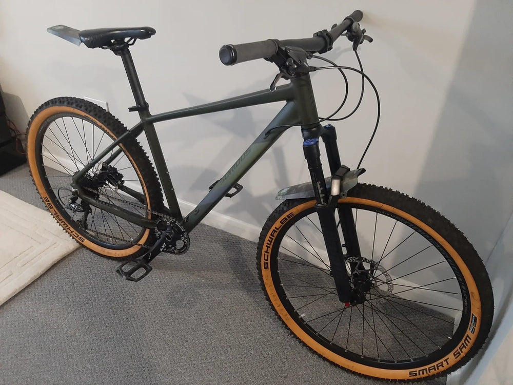 Serious cycles Global  Shoreline  2021