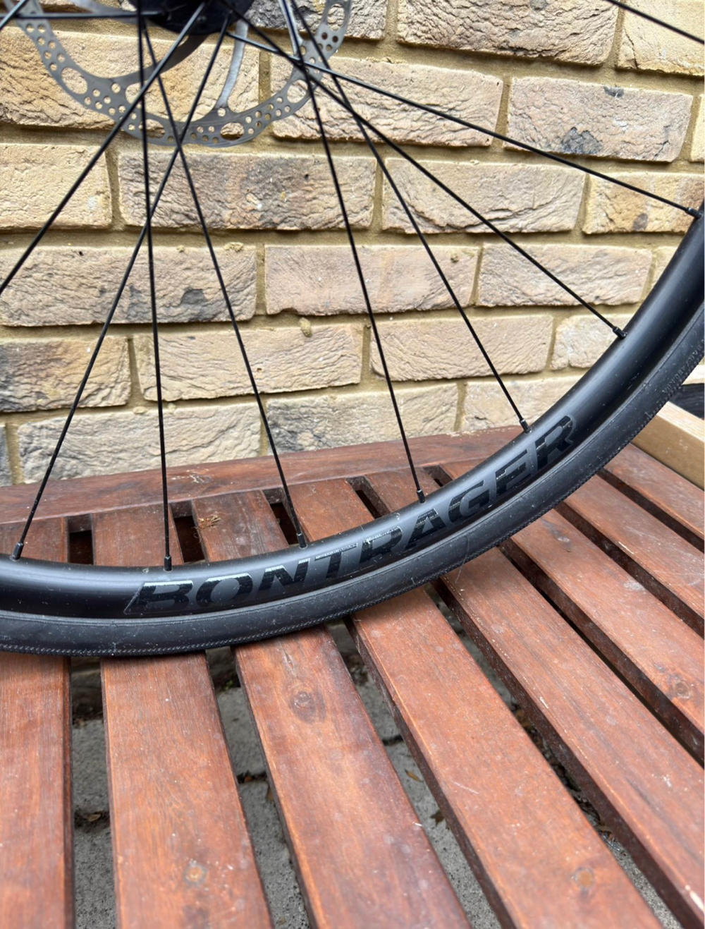 Trek Domane AL 2 Disc 2025