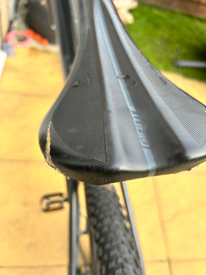 Giant Talon E+ 29er 2024