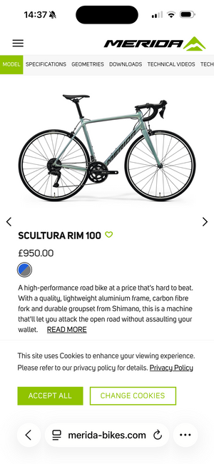 Merida Scultura Rim 100 2024