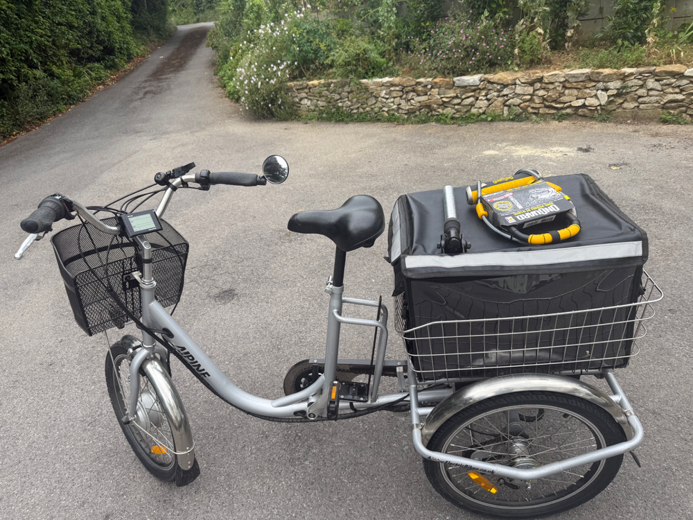 Alpine Tilt E trike 2020