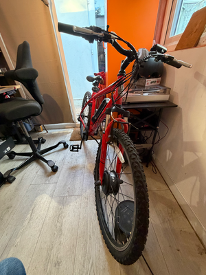 Apollo Phaze E 2019