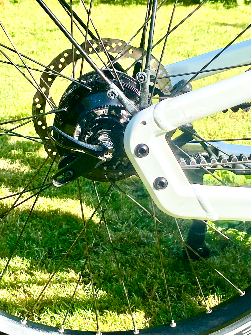 Riese and Muller Homage4 GT Rohloff 2024