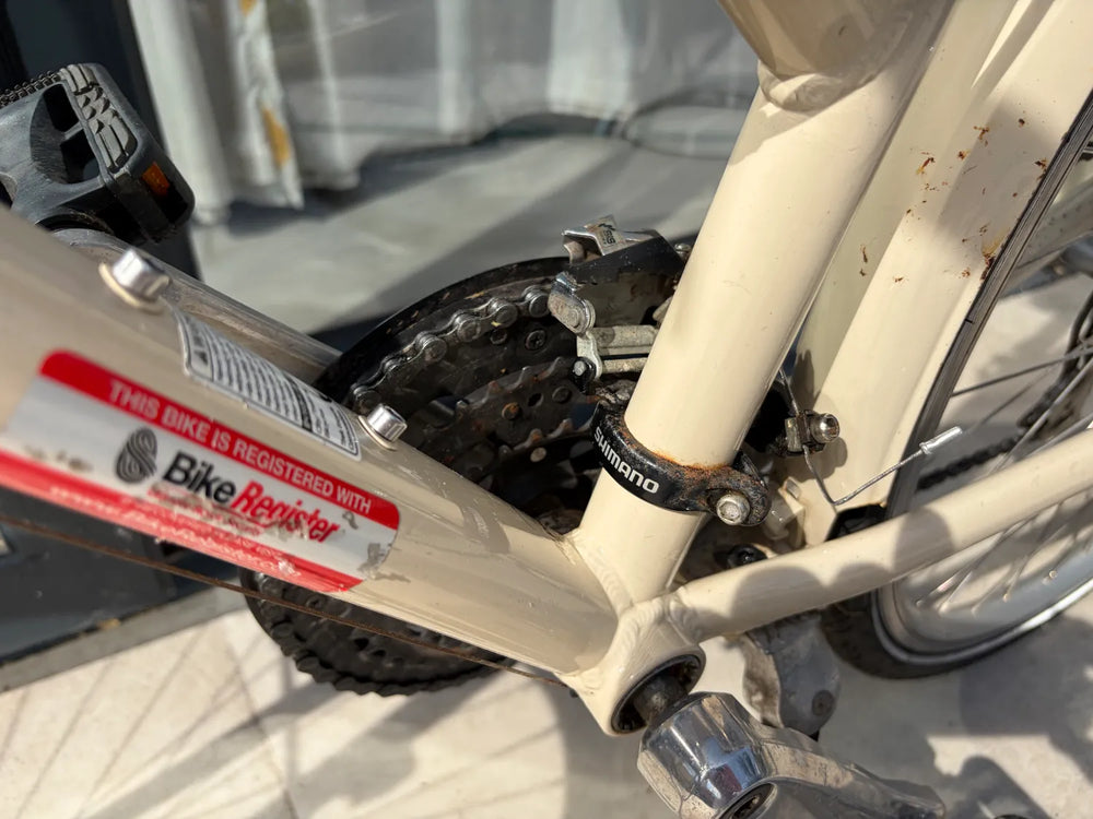 Trek Allant 2019