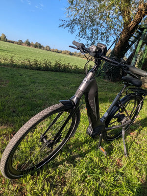 Gazelle Ultimate C380 HMB Belt 2020