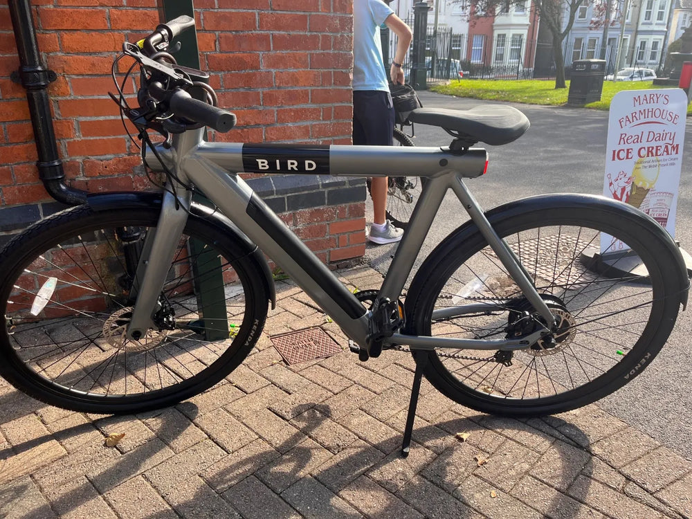 BirdBike A-Frame 2023