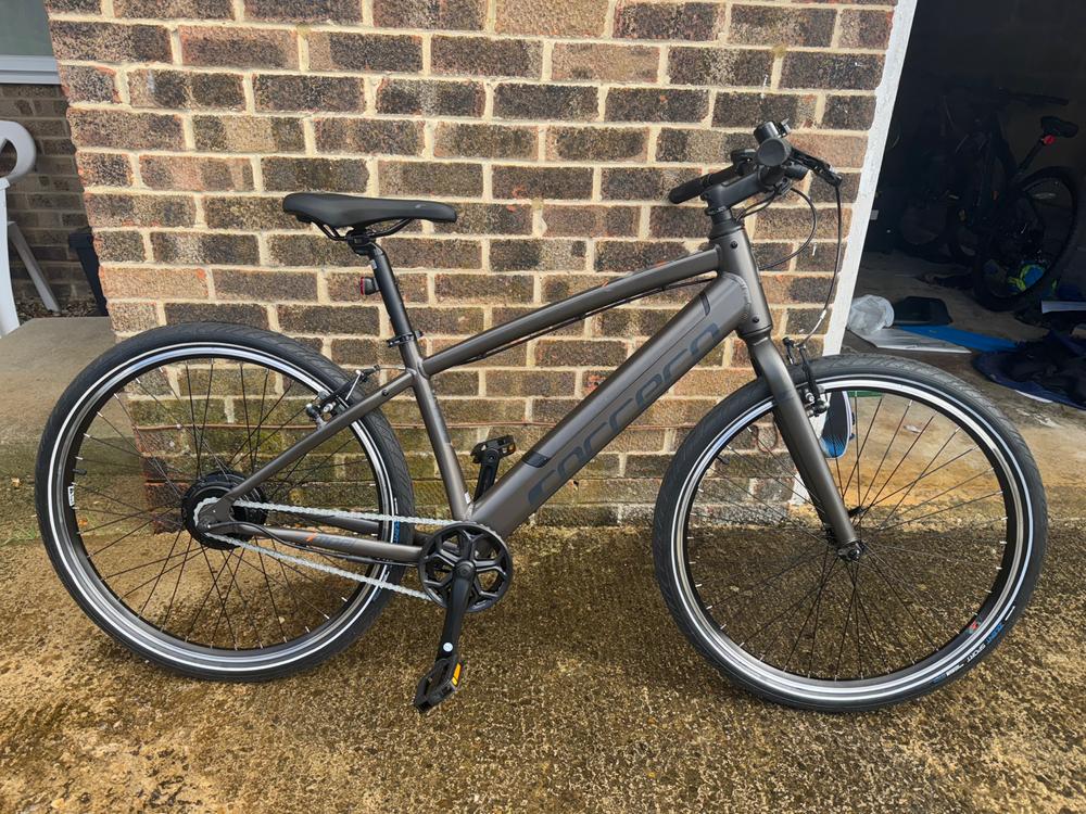 Carrera impel im 2022