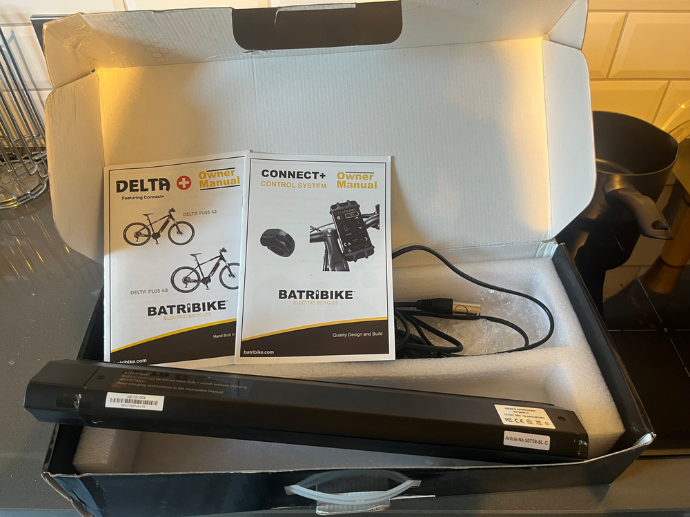 Batribike Delta Electric 2024
