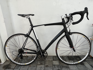 Condor Baracchi 2013