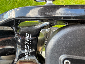 Giant Reign 2 29 Enduro 2020