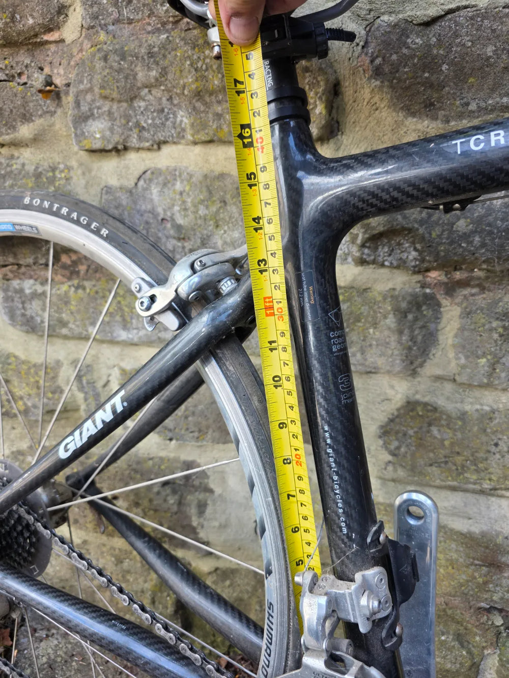 Giant TCR 2 2004