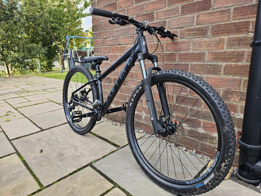 Carrera Vengeance