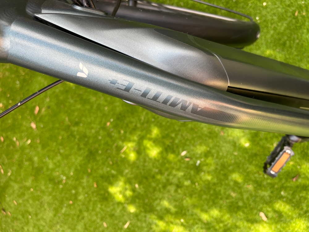 Giant Amiti 2021