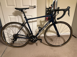 Giant Contend 1 2021