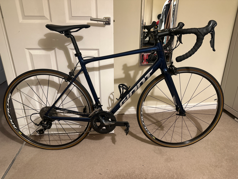 Giant Contend 1 2021