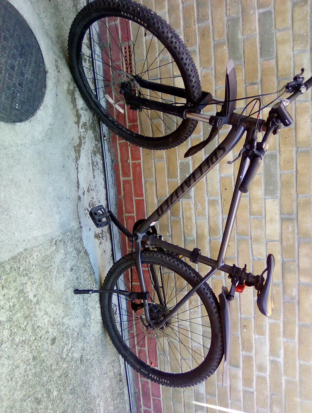 Specialized Rockhopper 29 2017