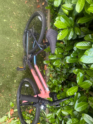 Cannondale Treadwell 2 2020