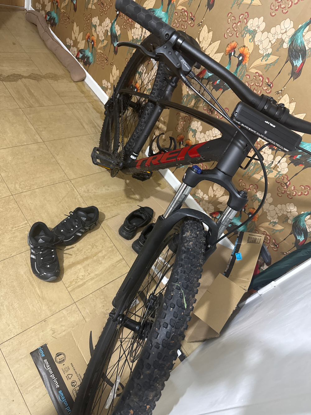 Trek Marlin 5 gen 3 2024